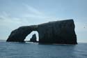 2005 Whale Watching 176