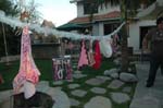 2006 Lital Wedding 021
