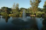 081906185349 Dresher_Wedding