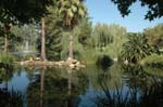 082006105005 Dresher_Wedding