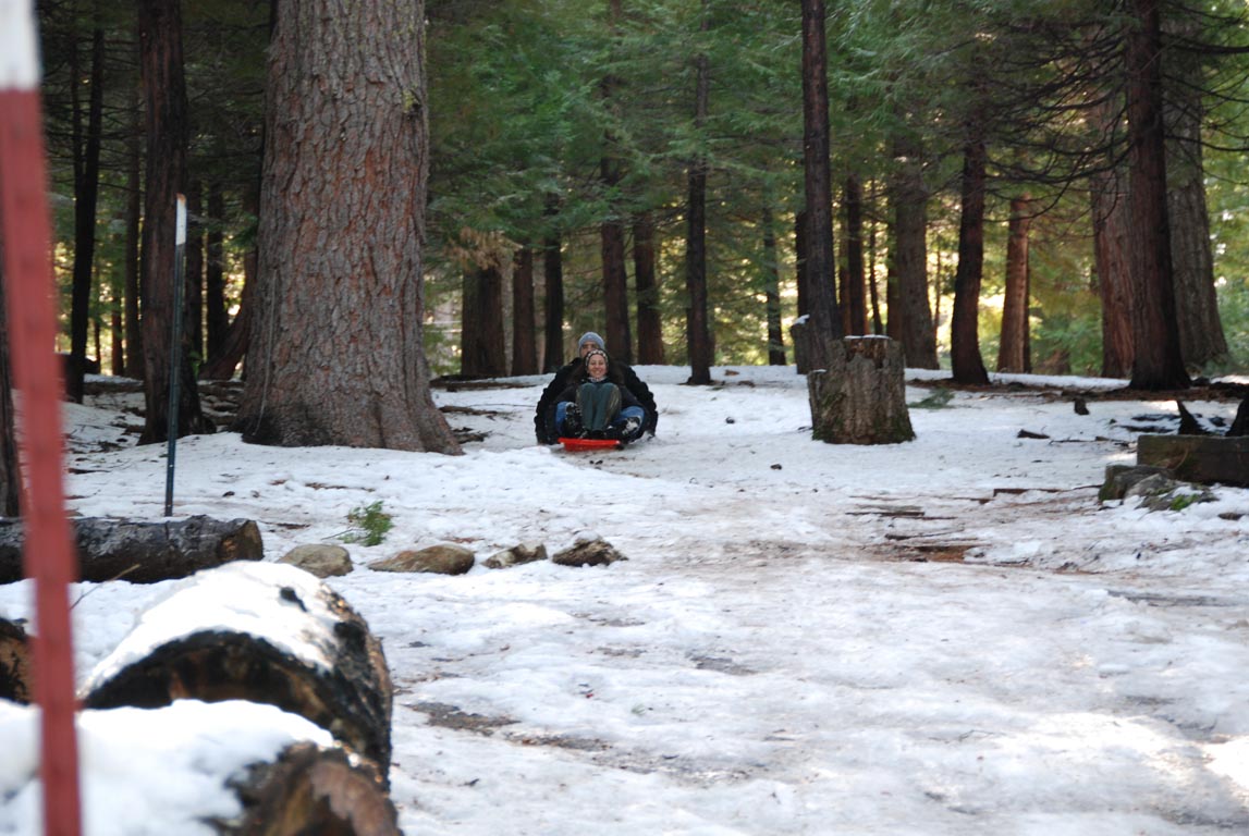 DSC_1550