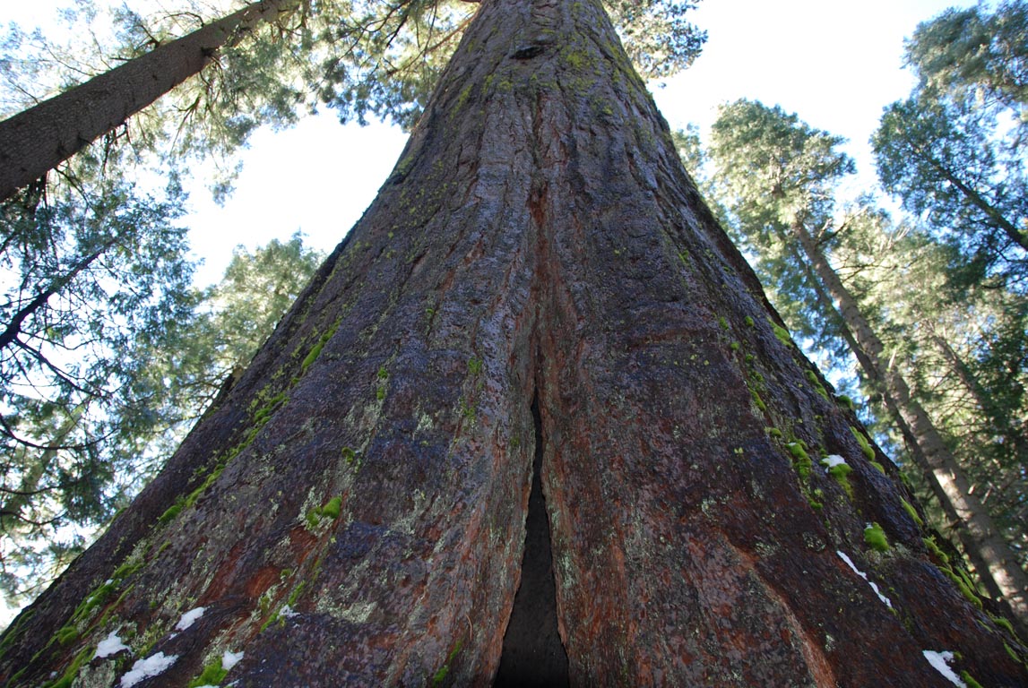 DSC_1596