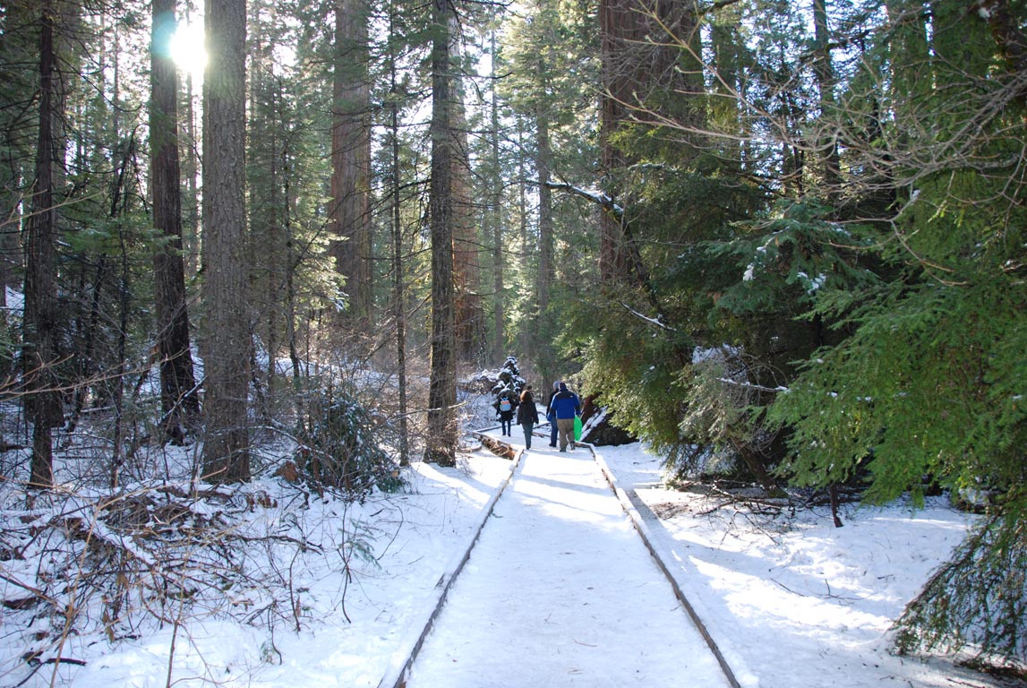DSC_1632