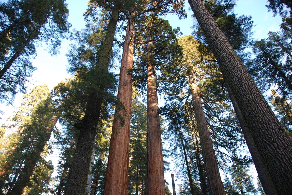DSC_1905