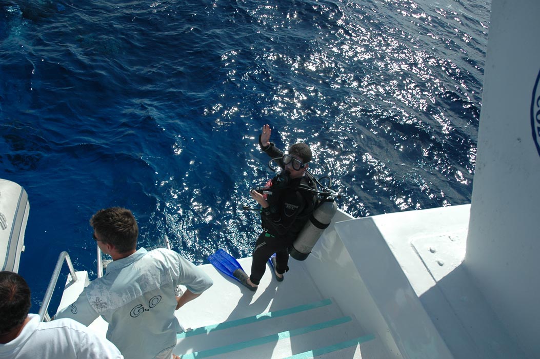 2006 Bahamas 131