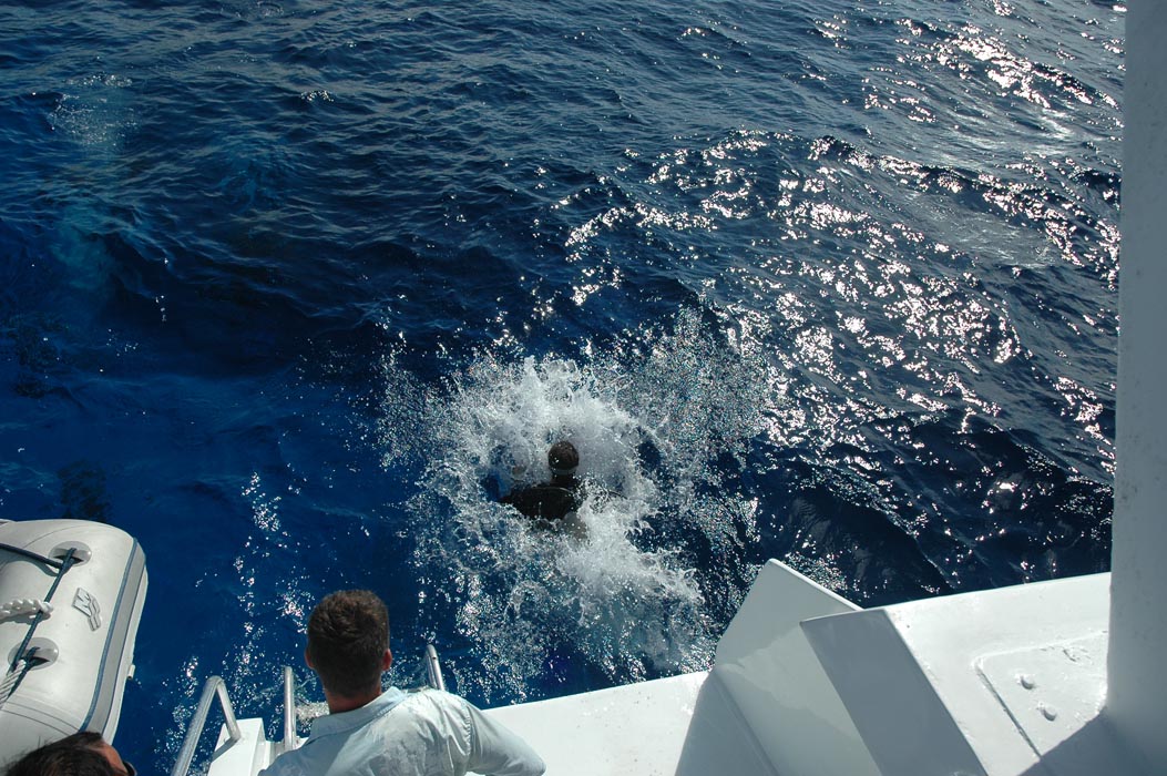 2006 Bahamas 133