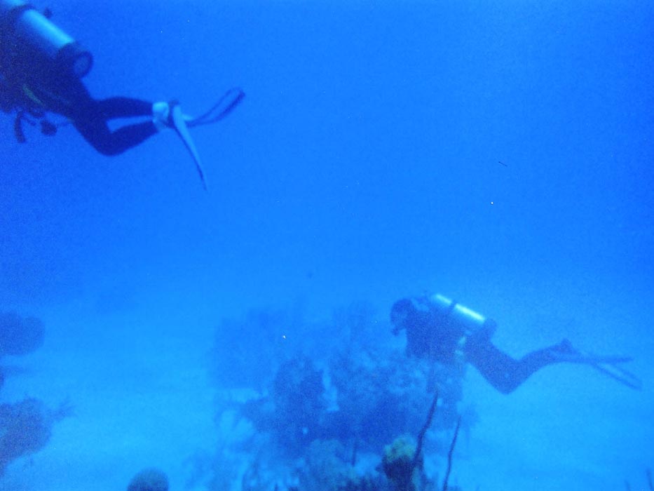 2006 Bahamas 134c