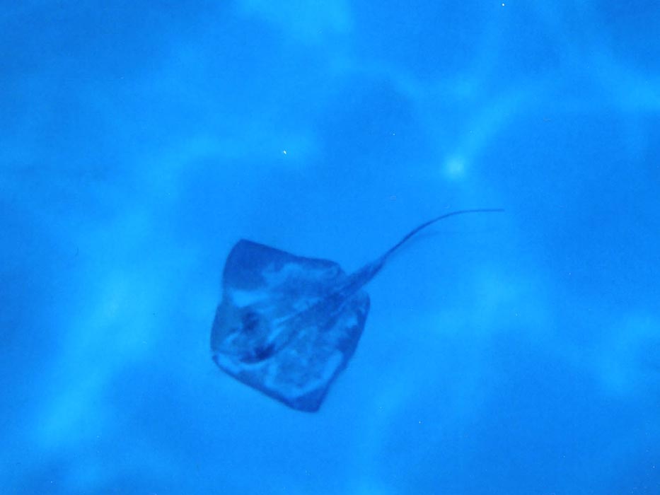 2006 Bahamas 134f