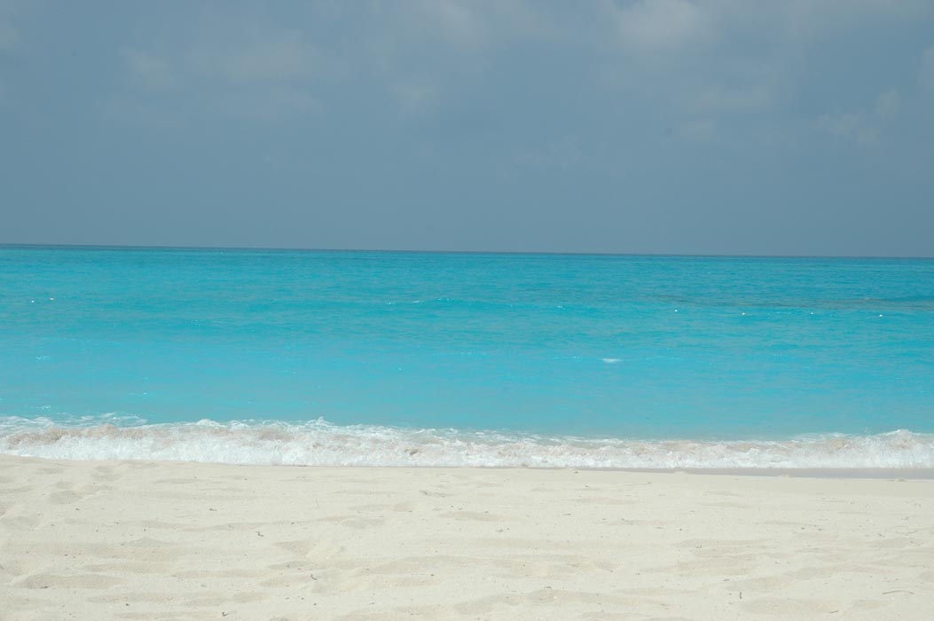 2006 Bahamas 176
