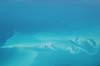2006 Bahamas 008