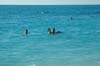 2006 Bahamas 099