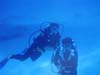 2006 Bahamas 134a