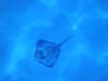 2006 Bahamas 134f