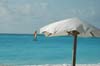 2006 Bahamas 219