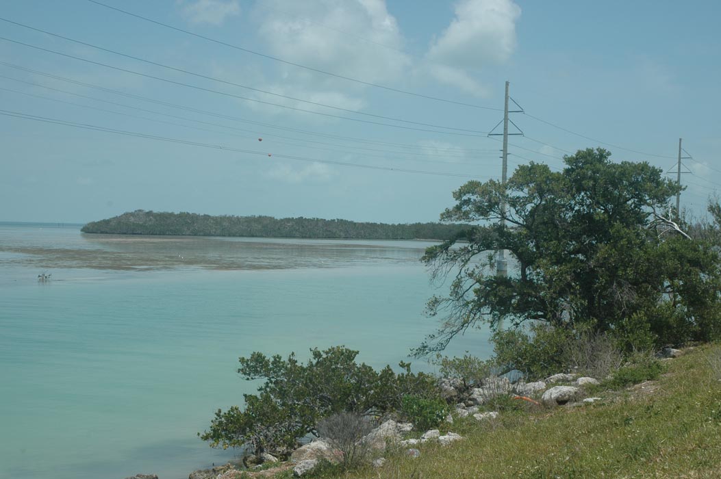 2006 Bahamas 773