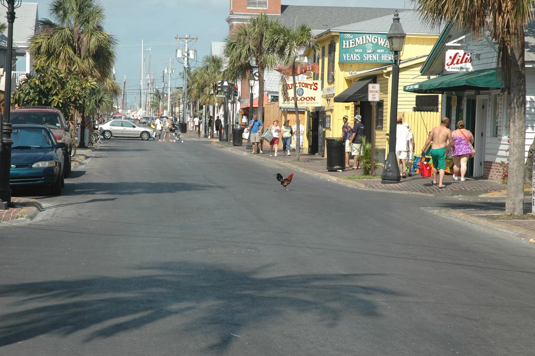 2006 Bahamas 824