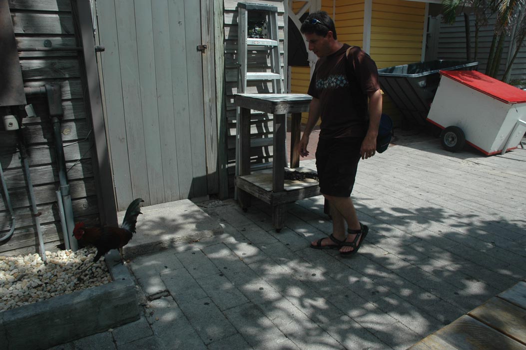 2006 Bahamas 825