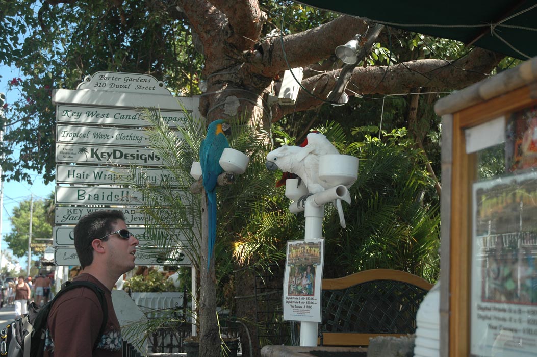 2006 Bahamas 839