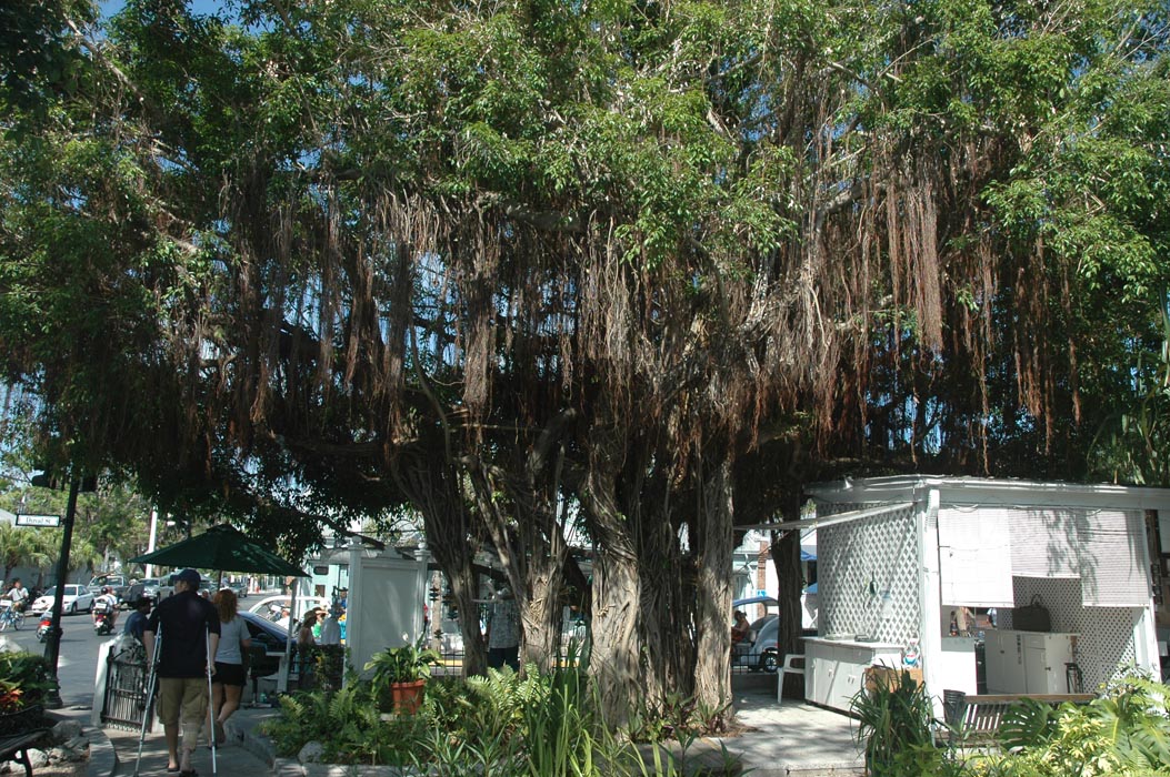2006 Bahamas 857