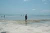 2006 Bahamas 728