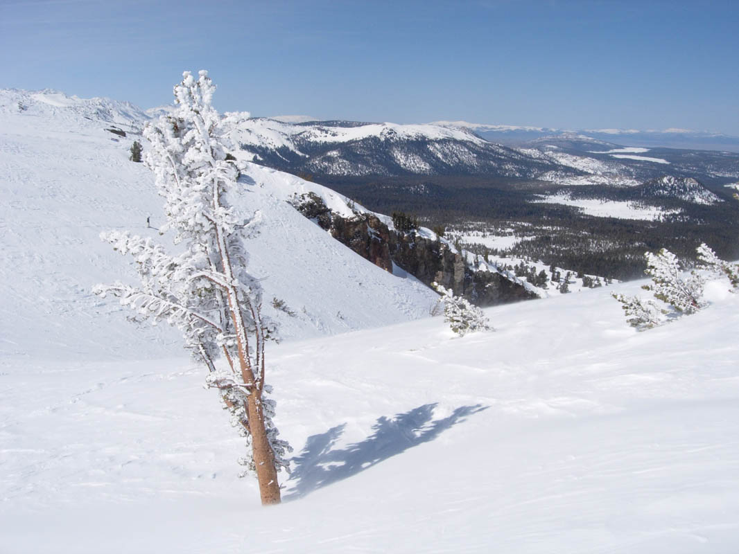 2006 Mammoth Ski 125