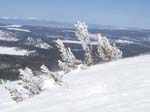 2006 Mammoth Ski 121