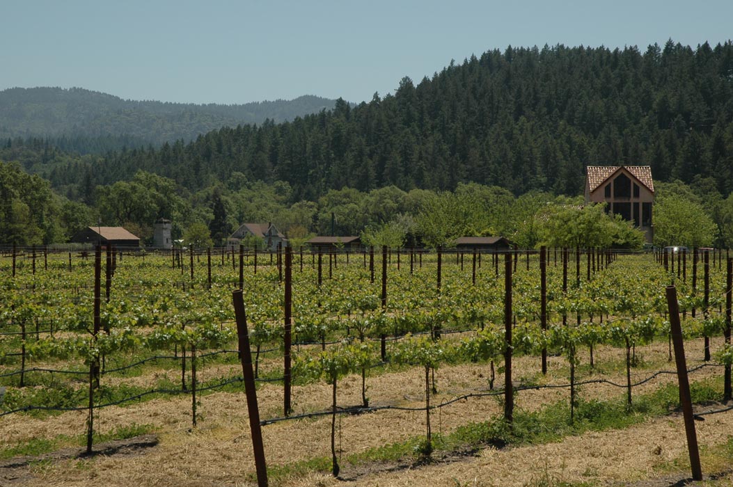 2006 Napa Birthdays 196