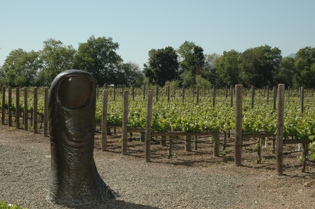 2006 Napa Birthdays 422