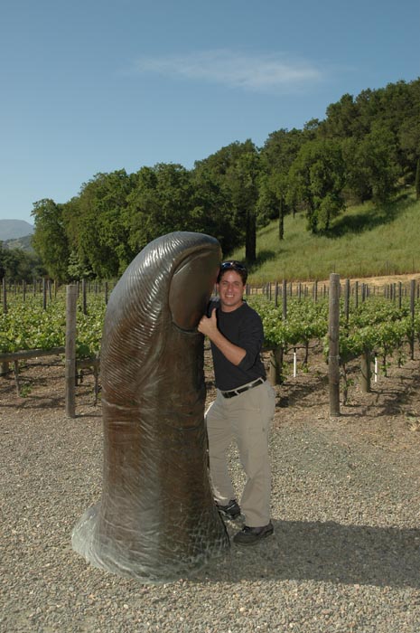 2006 Napa Birthdays 434