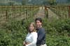 2006 Napa Birthdays 211