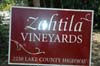 2006 Napa Birthdays 298