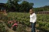 2006 Napa Birthdays 347