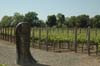 2006 Napa Birthdays 422