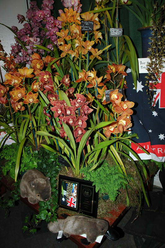 2006 Orchid Show 143