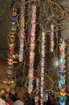 2006 Orchid Show 101