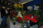 2006 Orchid Show 146