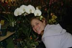 2006 Orchid Show 171