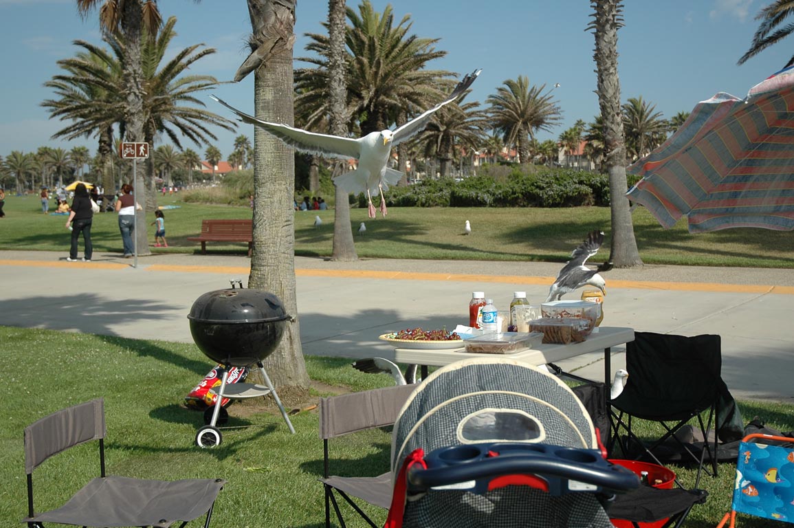 2006 Summer Oxnard BBQ 065