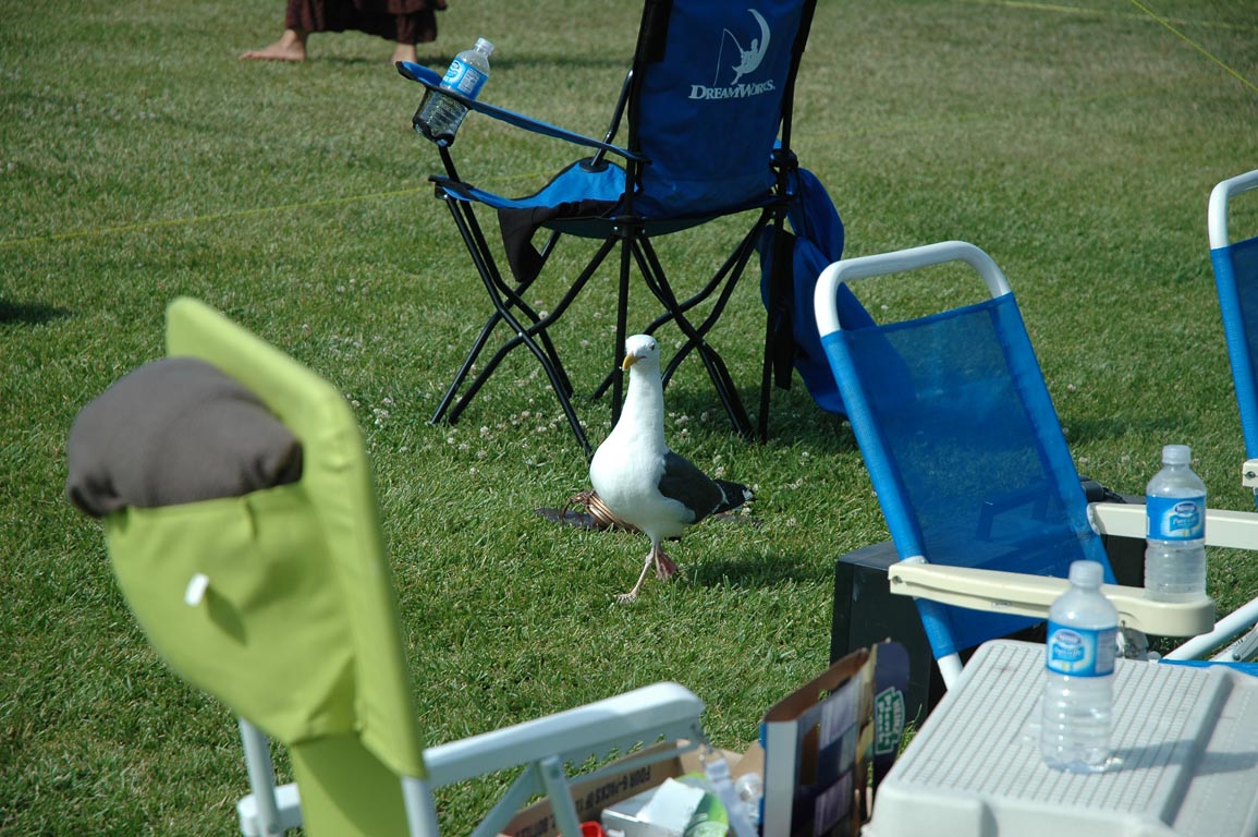 2006 Summer Oxnard BBQ 068