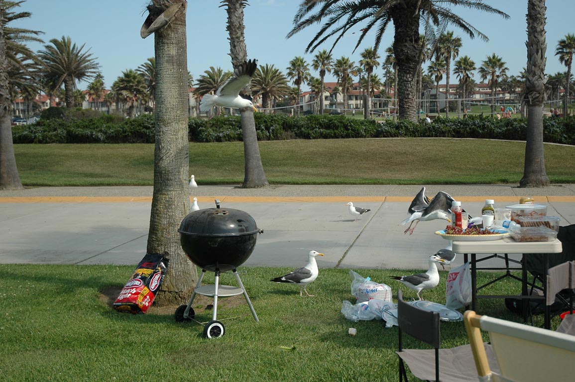 2006 Summer Oxnard BBQ 075