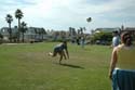 2006 Summer Oxnard BBQ 013