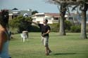 2006 Summer Oxnard BBQ 015