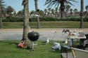 2006 Summer Oxnard BBQ 075