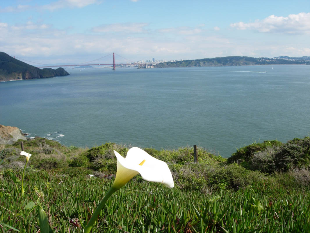 2006 San Francisco 075