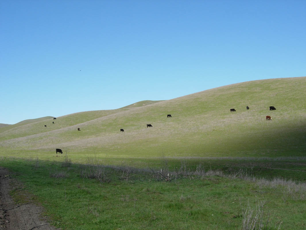2006 San Francisco 092