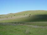 2006 San Francisco 091