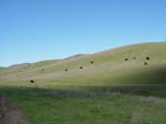 2006 San Francisco 092