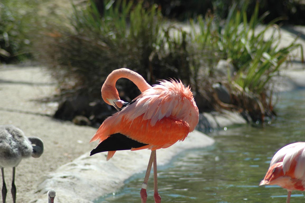2006 Stiberim San Diego 009