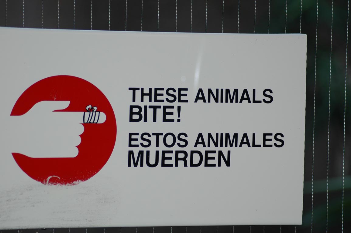 2006 Stiberim San Diego 020