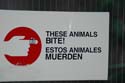 2006 Stiberim San Diego 020